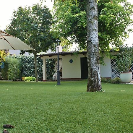 Villetta Il Glicine Porto Mantovano Ngoại thất bức ảnh